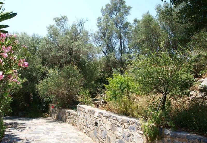 Aposperitis Villas Theodhora Ngoại thất bức ảnh